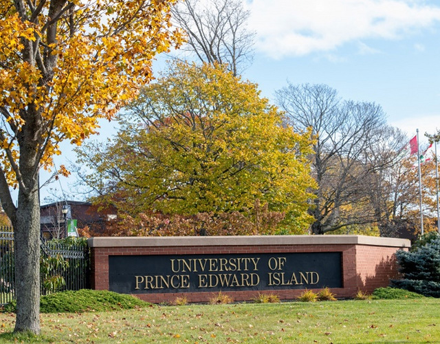 爱德华王子岛大学